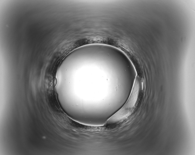 X0000085311251200703161446