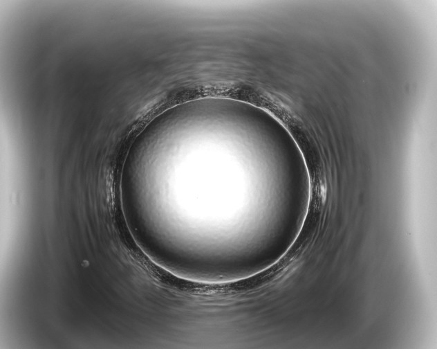 X0000085311252200703161446