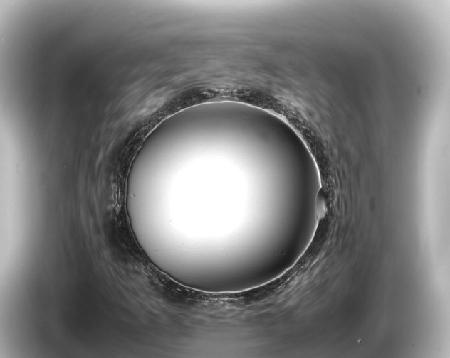 X0000085311253200703161446
