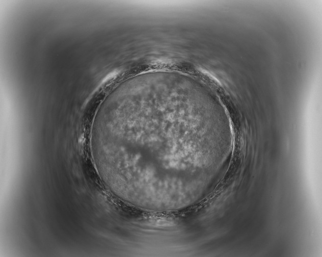 X0000085311254200703161445