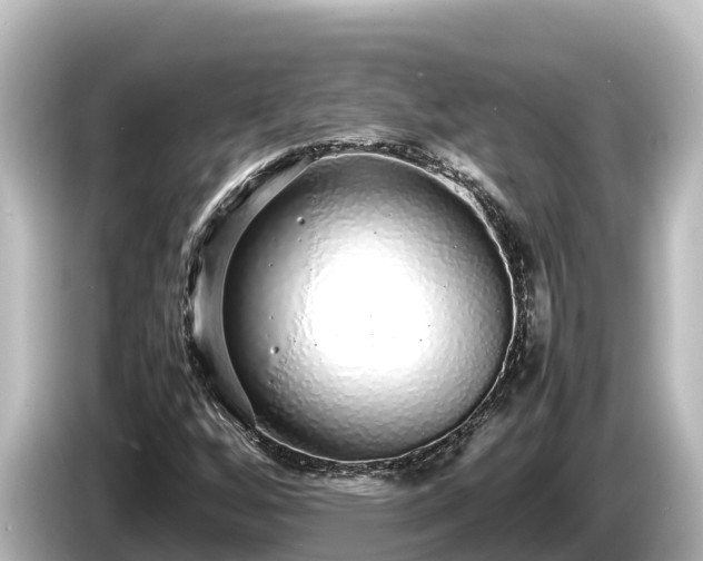 X0000085311256200703161445