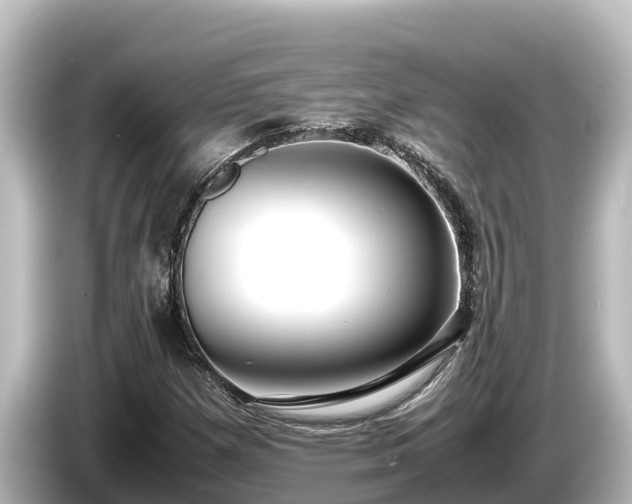 X0000085311257200703161445