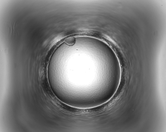 X0000085311259200703161445
