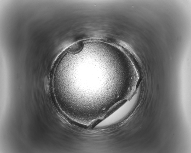 X0000085311260200703161445