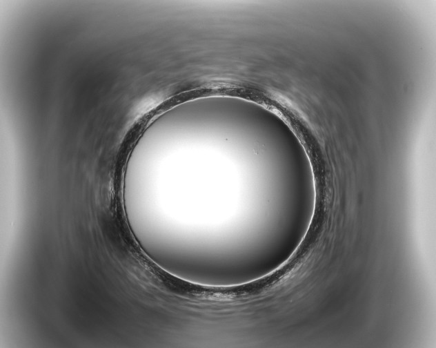 X0000085311261200703161445