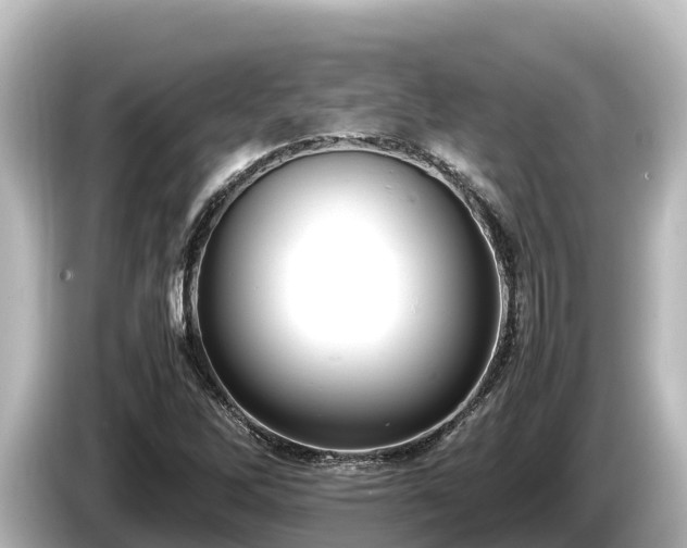 X0000085311262200703161445