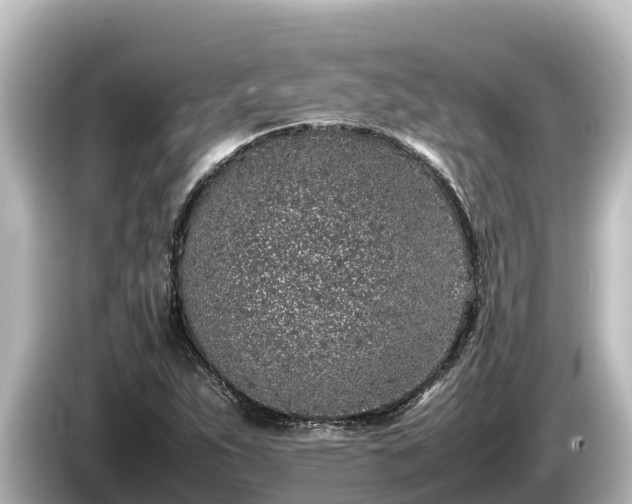 X0000085311263200703161445