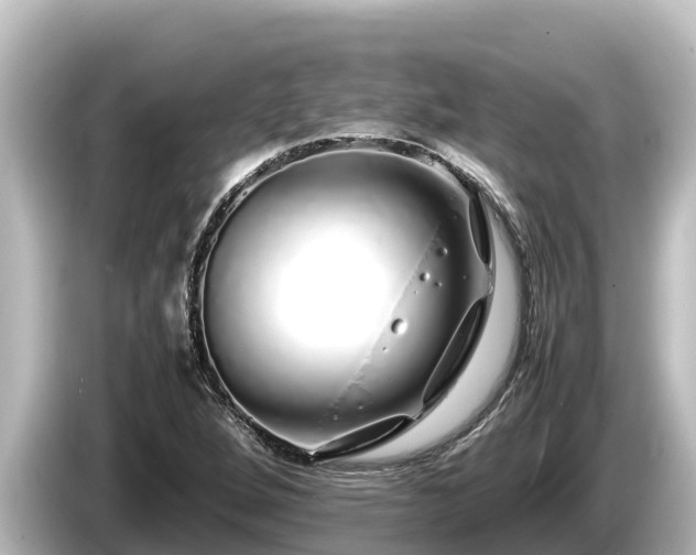 X0000085311264200703161445