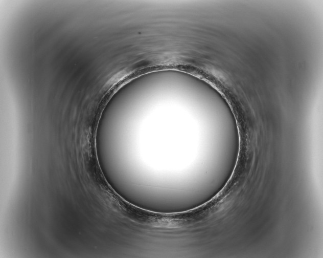 X0000085311265200703161445