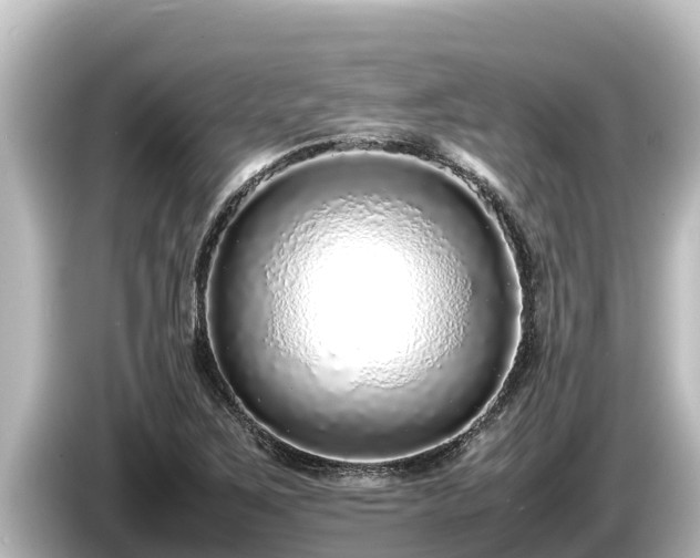X0000085311267200703161445