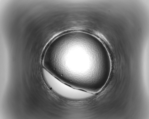 X0000085311268200703161445