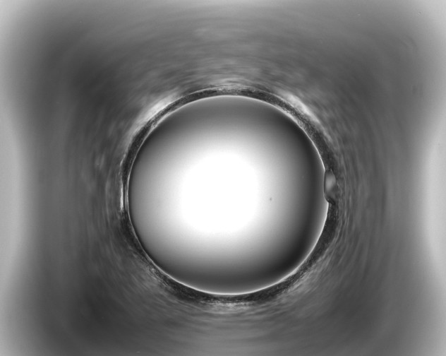 X0000085311269200703161445