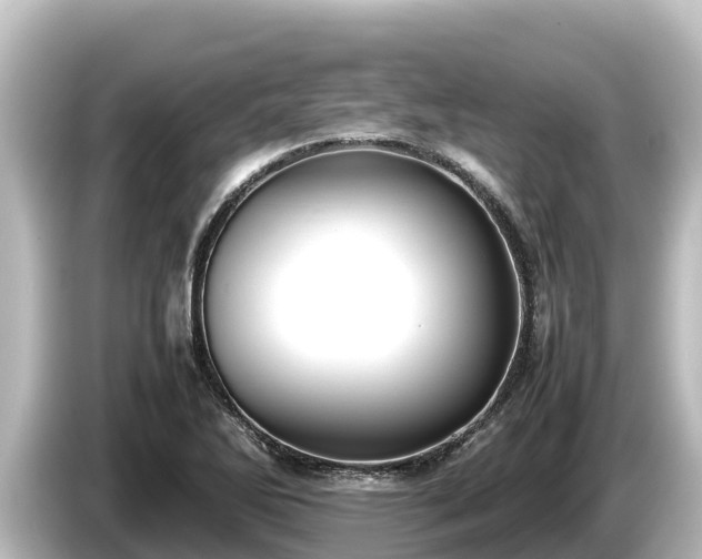 X0000085311270200703161445