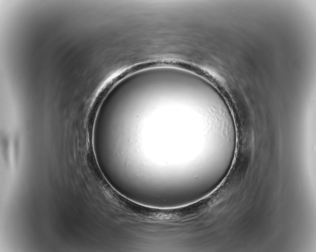X0000085311271200703161445