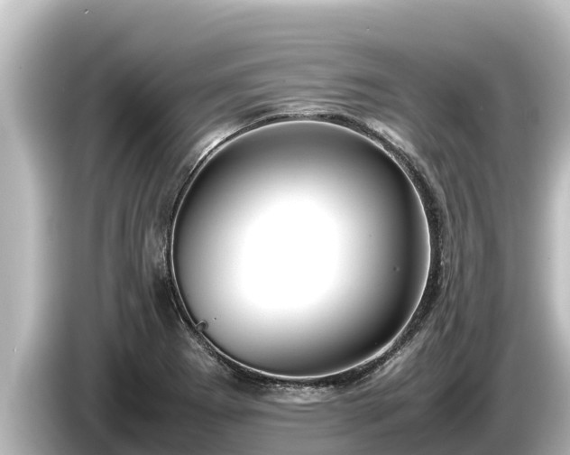 X0000085311273200703161445