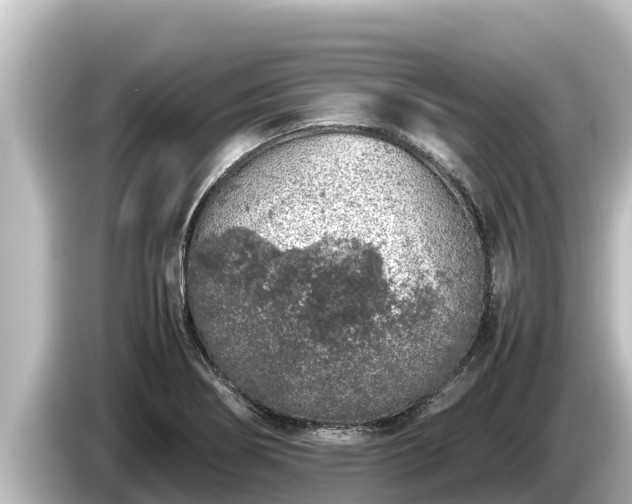 X0000085311274200703161445
