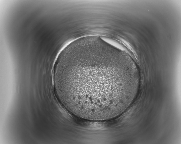 X0000085311275200703161445