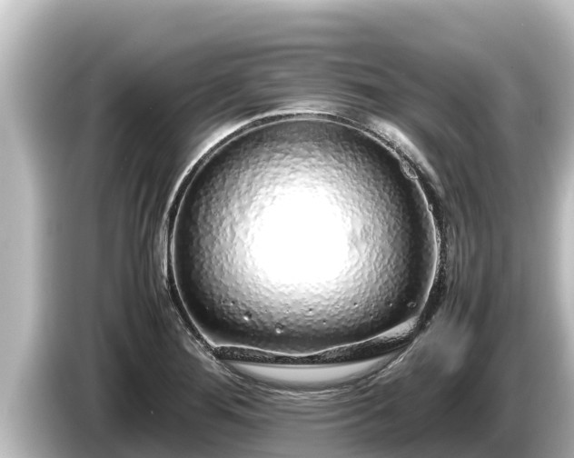 X0000085311276200703161445