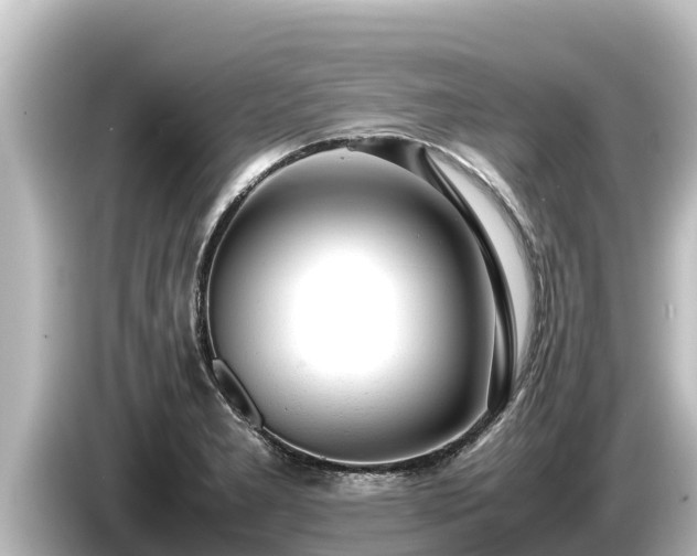 X0000085311277200703161445