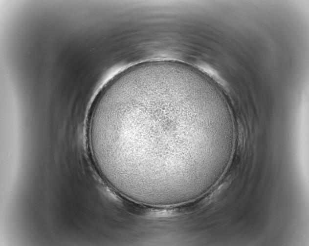 X0000085311278200703161445