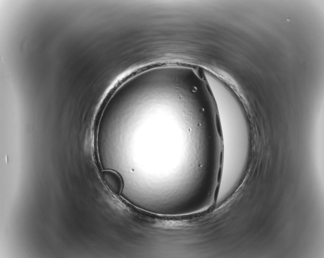 X0000085311280200703161445