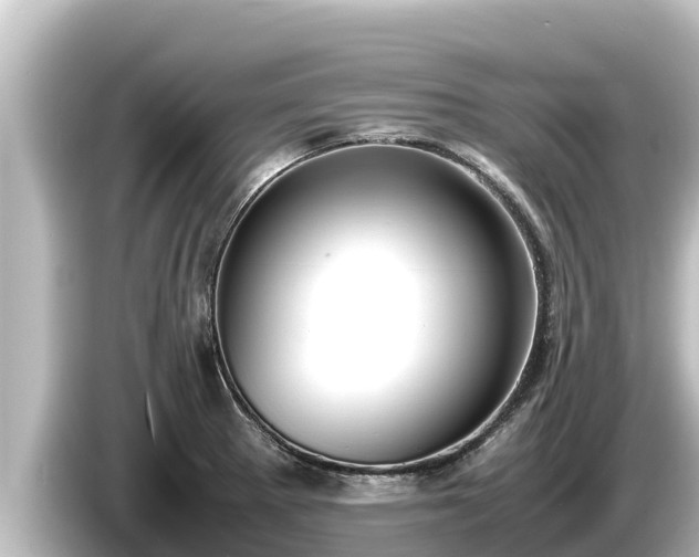 X0000085311281200703161445