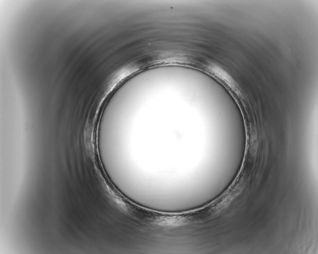 X0000085311282200703161445