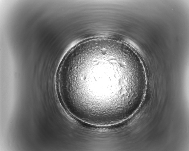 X0000085311283200703161445