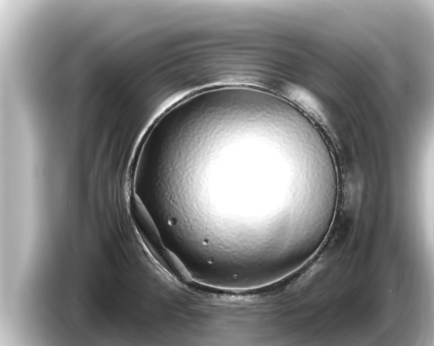 X0000085311284200703161445