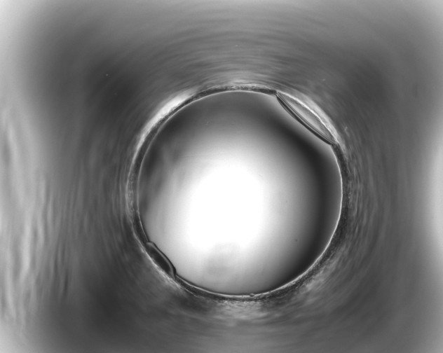 X0000085311285200703161445