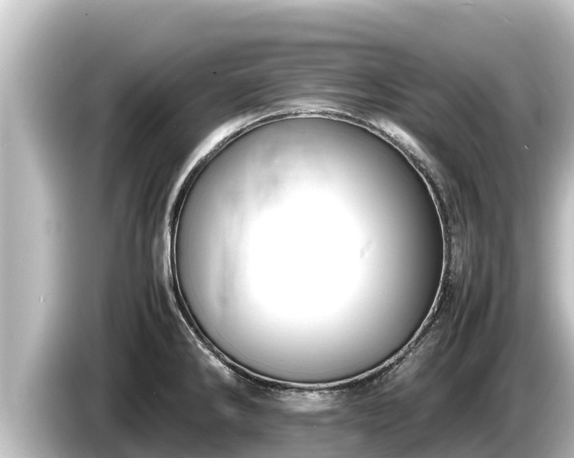 X0000085311286200703161445