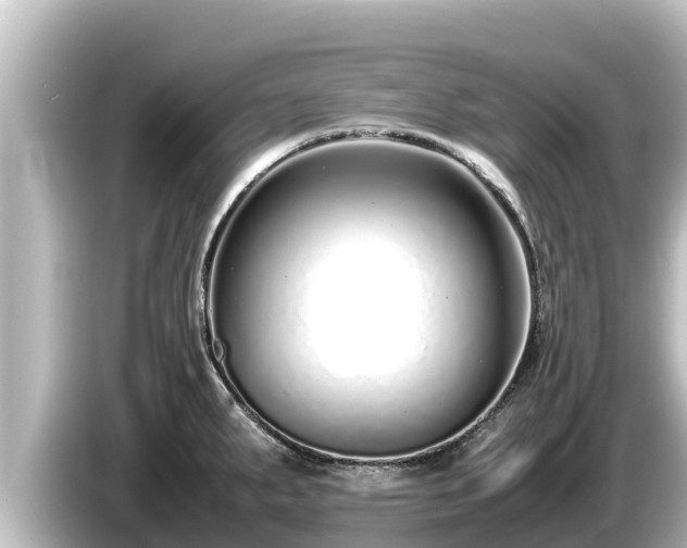 X0000085311287200703161445