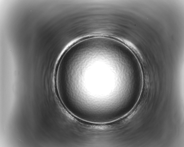 X0000085311288200703161445