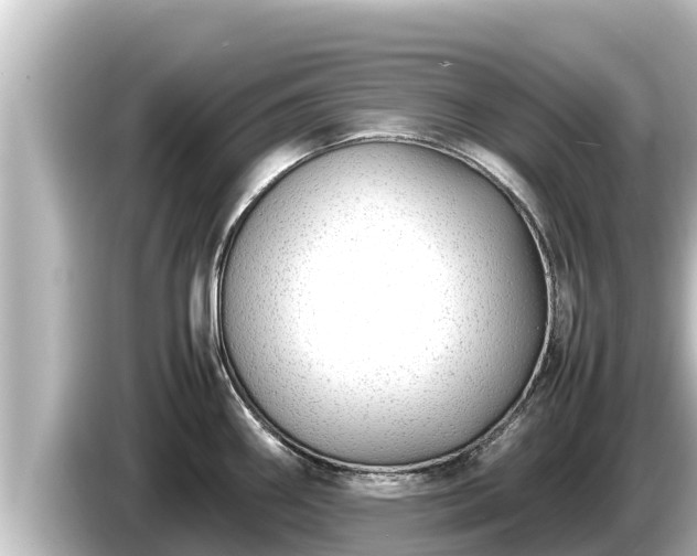 X0000085311290200703161445