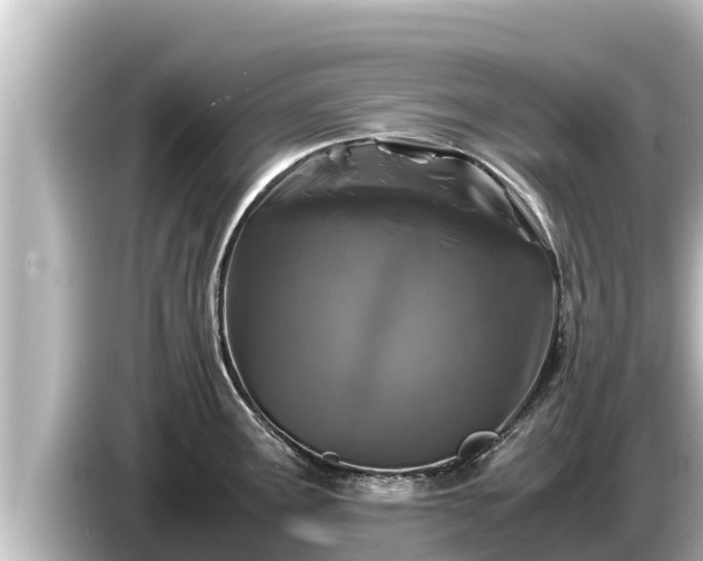 X0000085311291200703161445