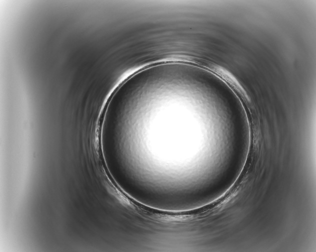 X0000085311292200703161445