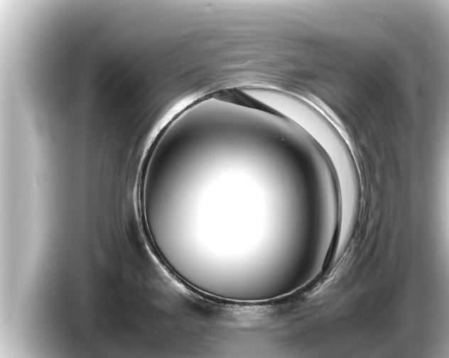 X0000085311293200703161445
