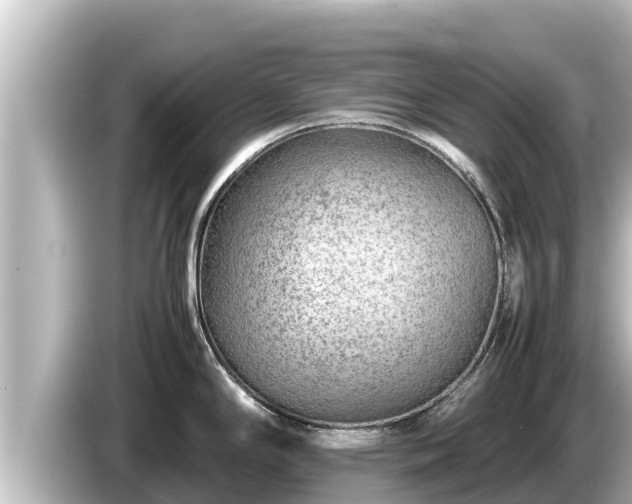 X0000085311294200703161445