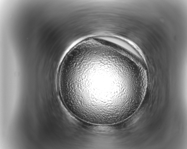 X0000085311295200703161445