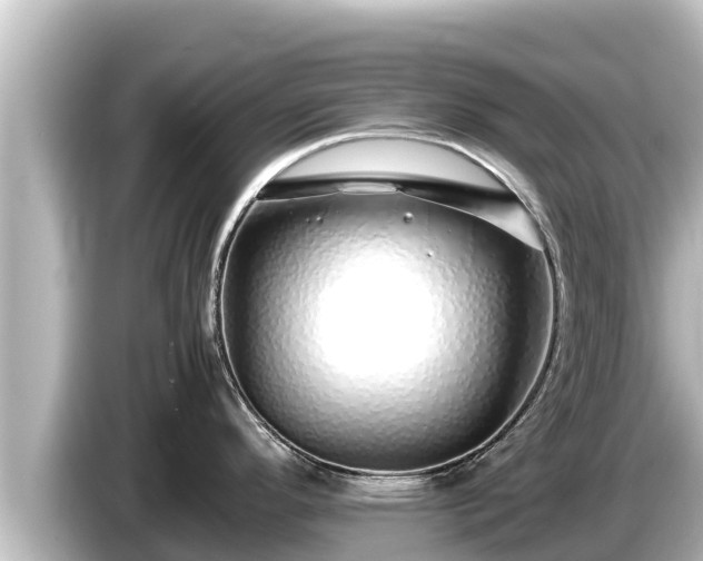 X0000085311296200703161445