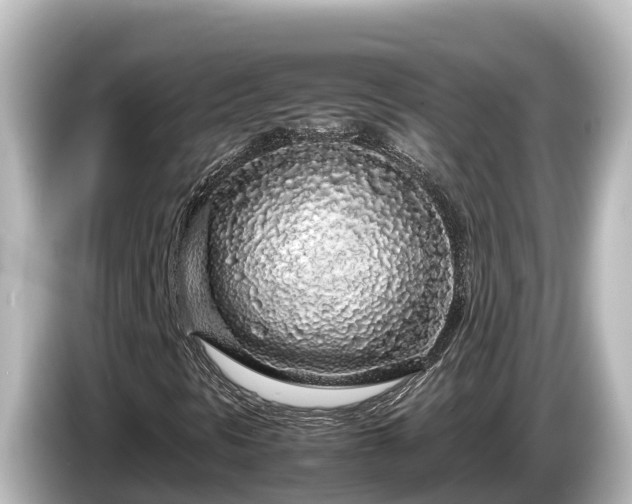 X0000085311297200703161444