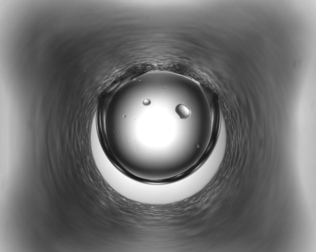X0000085311298200703161444