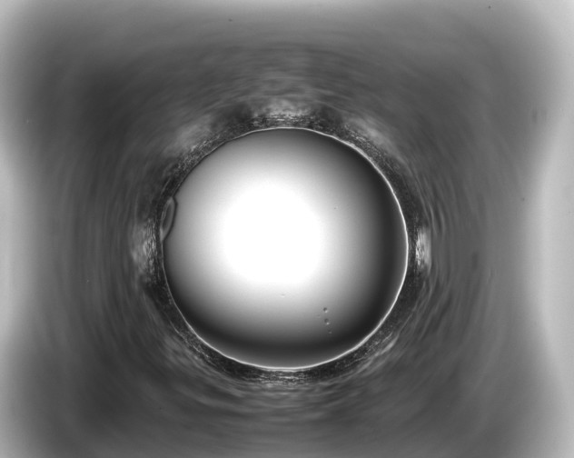 X0000085311299200703161444