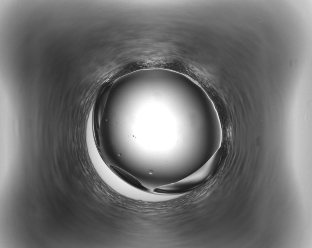 X0000085311300200703161444