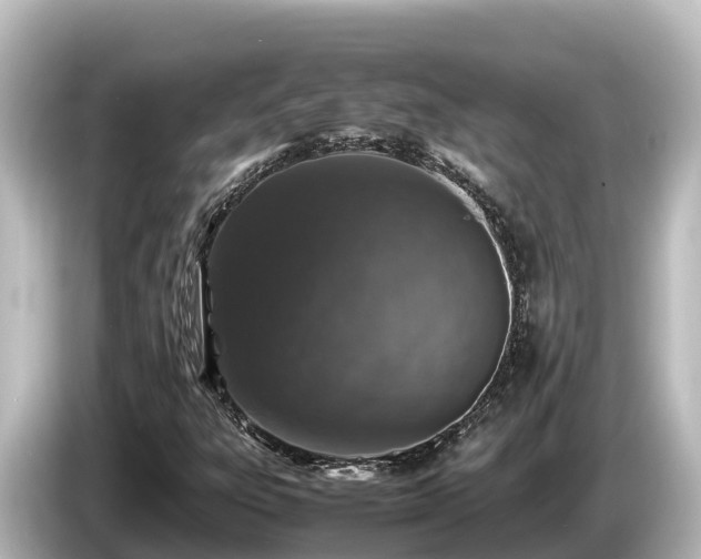 X0000085311303200703161445