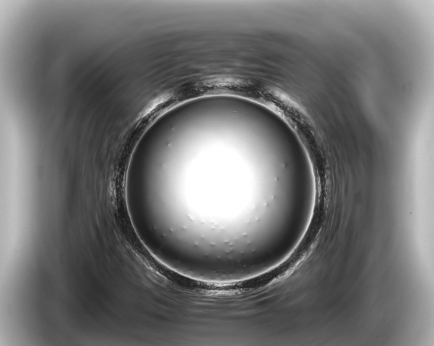 X0000085311305200703161445