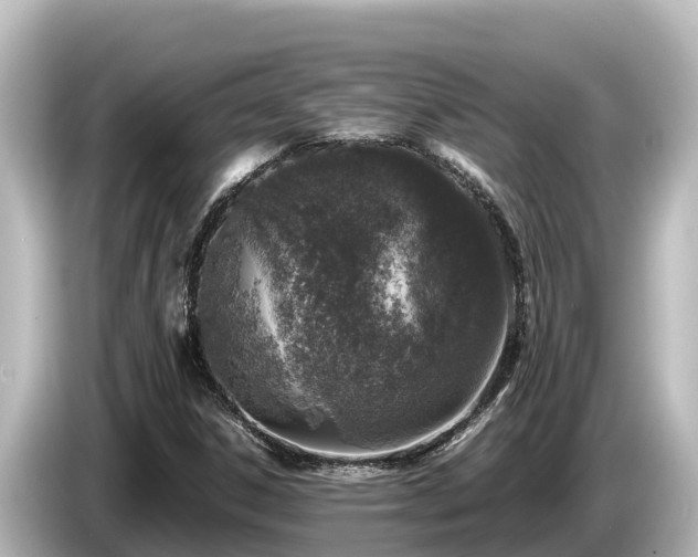 X0000085311306200703161445