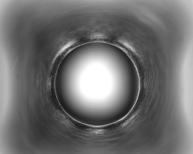 X0000085311309200703161445