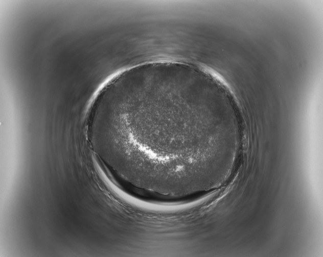X0000085311310200703161445