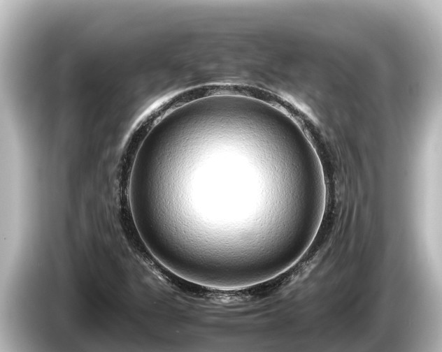 X0000085311311200703161445